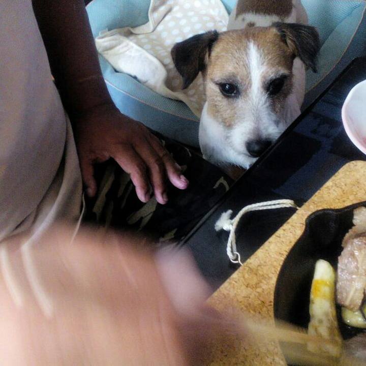 599f54aa ff13 41eb 9668 52f7a6ad7b52