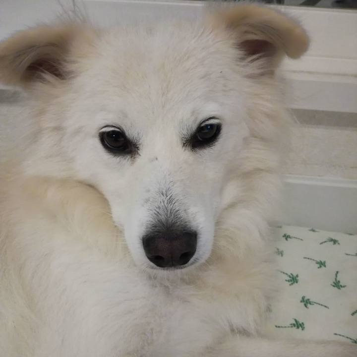 59a00720 7ff3 4690 8ab4 77809aa7dc4f