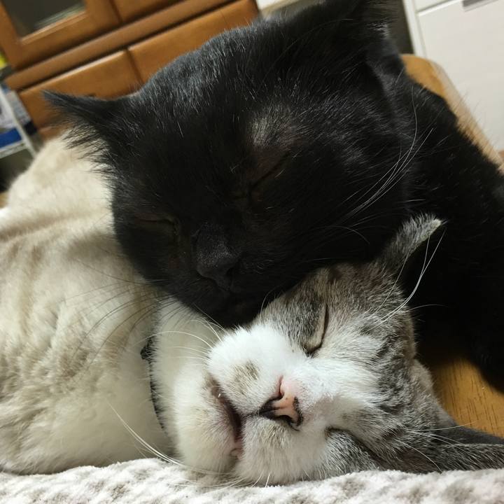 59a0440a 85df 4f07 ae22 82f417ef48f4