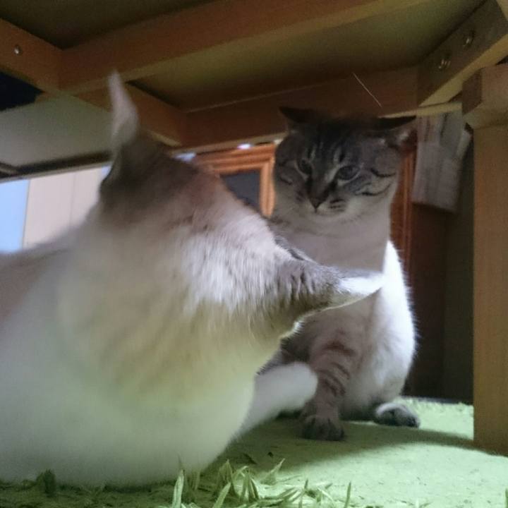 59a0a8eb 1763 4b67 8d50 c14f69dac5cc