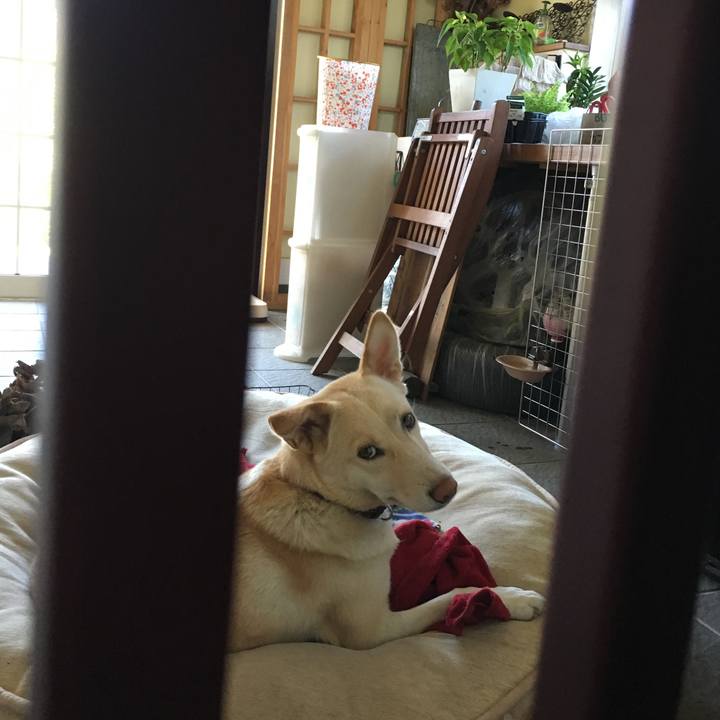 59a0ee21 a30f 4fcf 8fbb 2f40f456d986