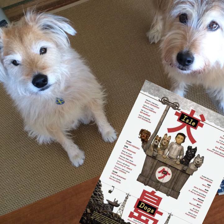 59a1288c afd3 4089 ac2c 2ddb02d2c434