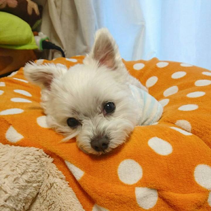 59a12c78 715e 45c1 874a 72e1151e03c4