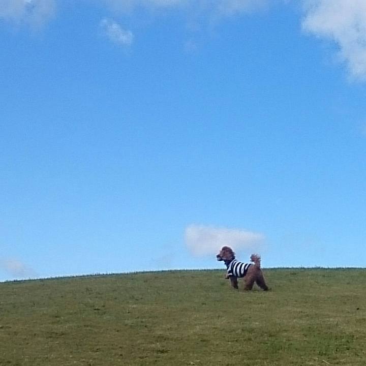 59a15ca6 60b2 48fe a4c7 d2aade8acd17