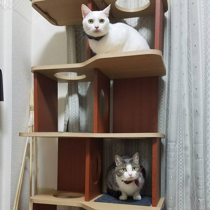 59a1a37a 308d 49d6 b1c1 39780df6d38b