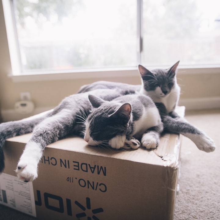 59a209ee f9ab 459b a7fa df60421afc5c