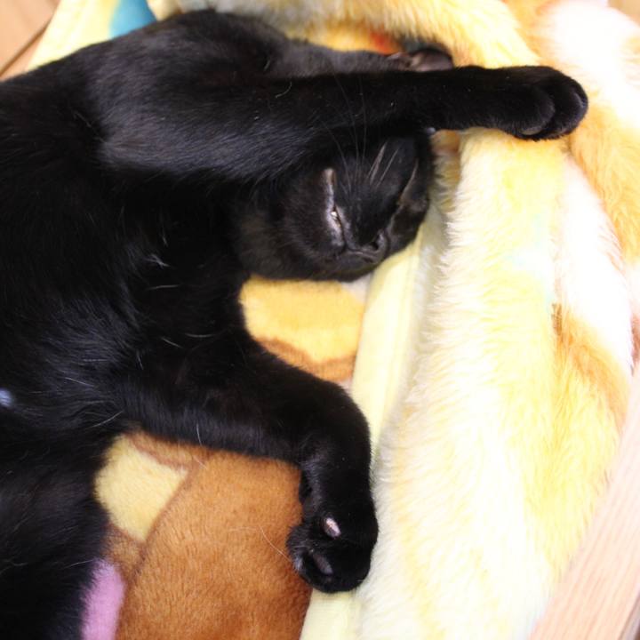 59a22656 25f6 48f9 b156 3eafbf8c28c8