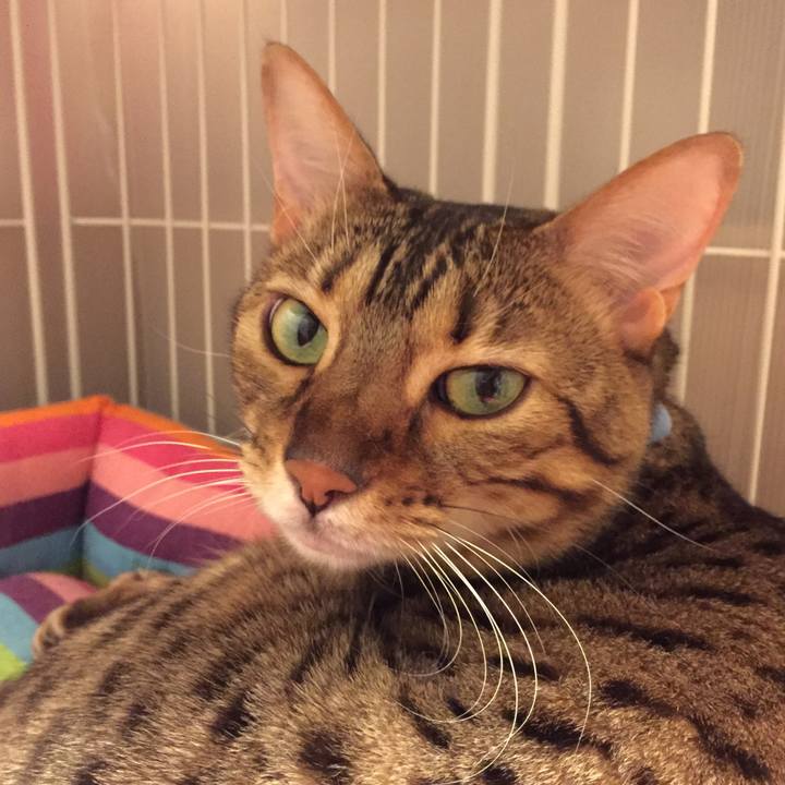 59a2443e 3a0b 4b21 bc60 467976673114