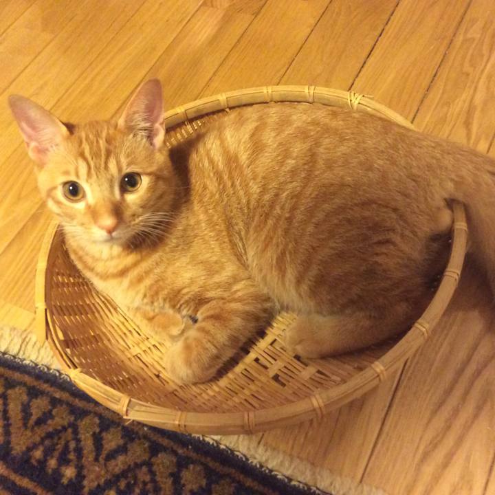 59a24c76 2962 45e6 aa04 4886fe0a10b7