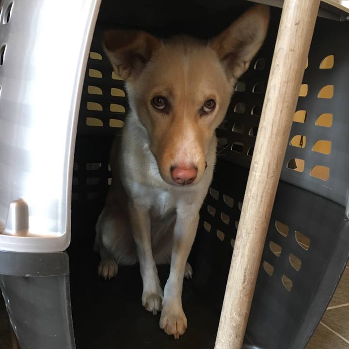 59a3bc7d 44e5 492f adff 0f4e2a81cee0