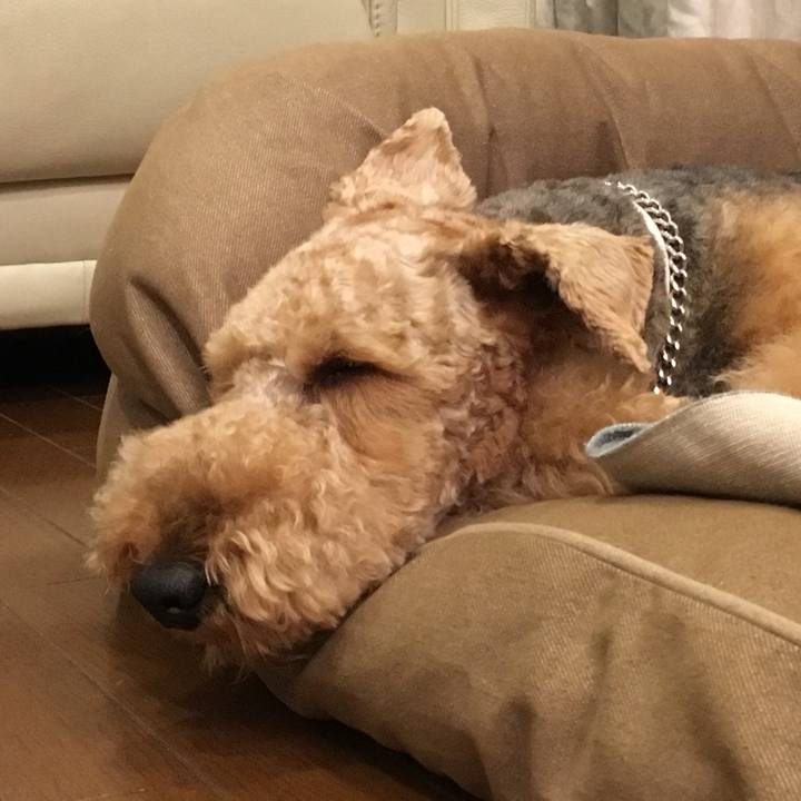 59a403ca a17d 49de 803a 4ea308ed8a47