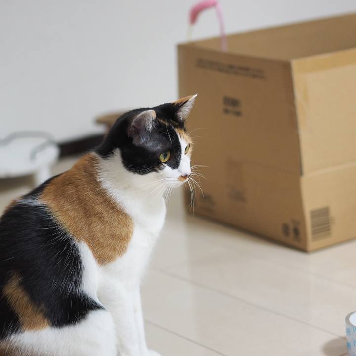 59a446ae 35f9 4709 a7a7 52cfb549aae1