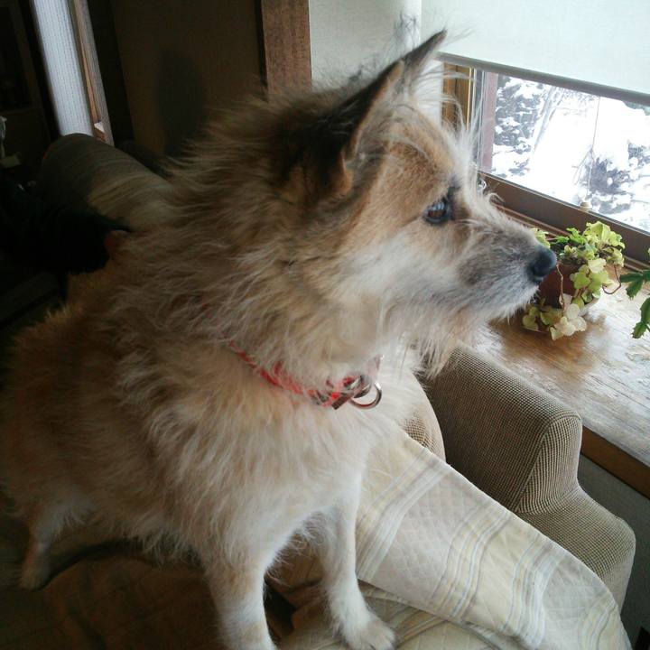 59a47429 49dc 483f 8e51 e56b85cdd53e