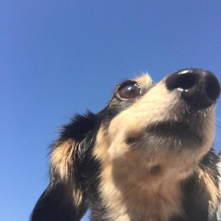 59a52057 acb8 4a68 8ac7 f91683dbc59e