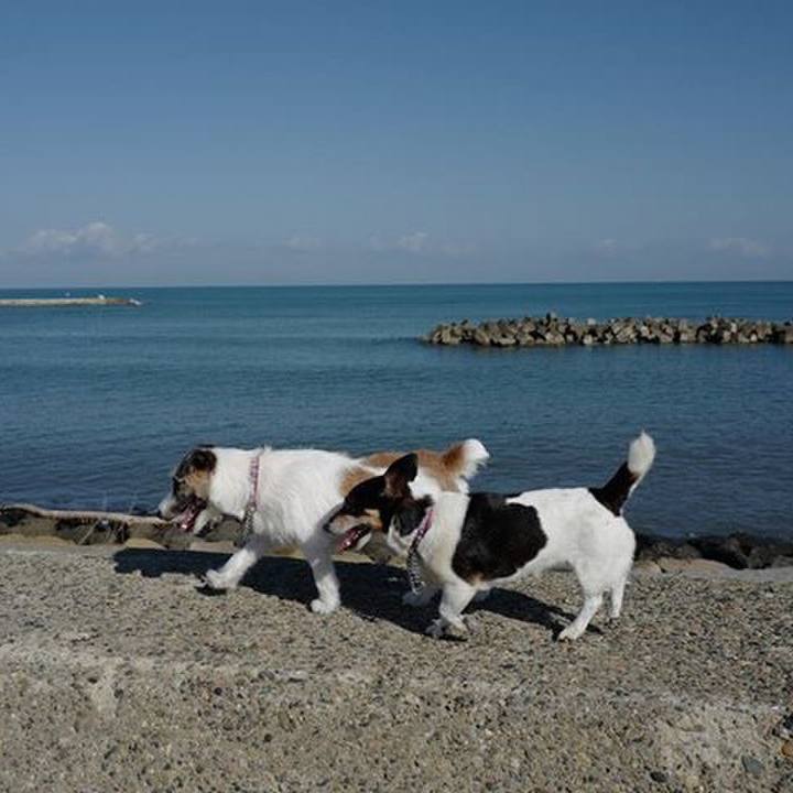 59a5639a 7f50 43dd bcd5 84403e8e7ae6