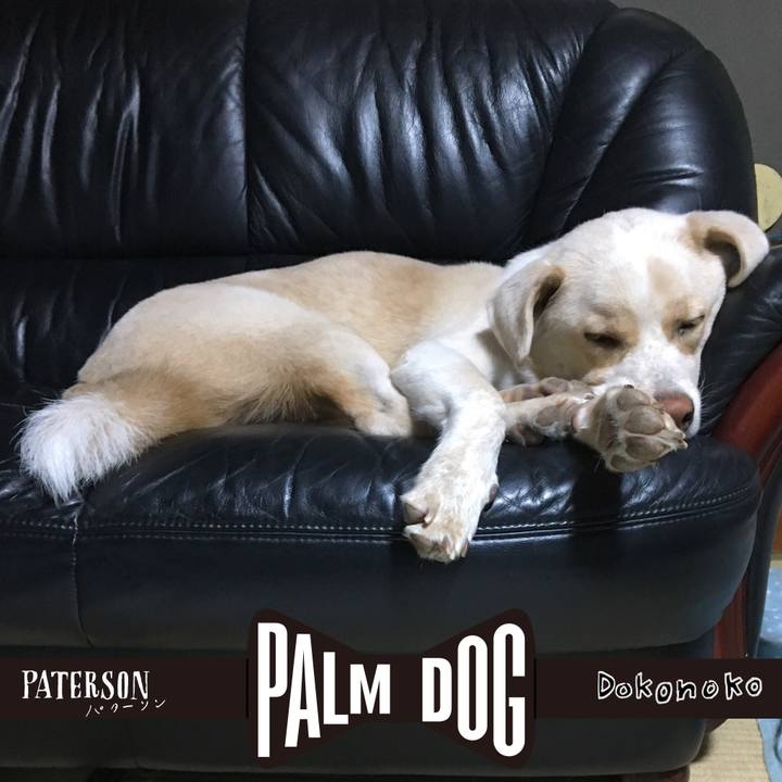 59a5685f 903f 4eb0 82fa 76c59e8bd210