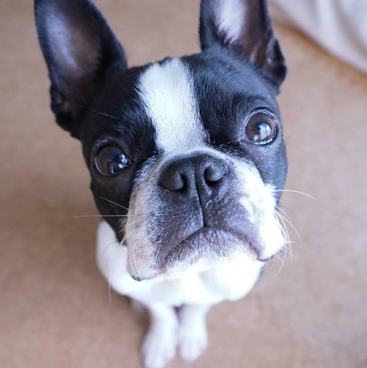 59a5d1ef f821 4ddd a19d 2016910d9274