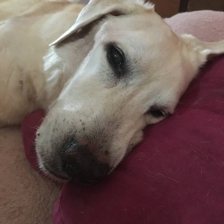 59a5f1d8 a6f4 453d a70a fa88ff92724c