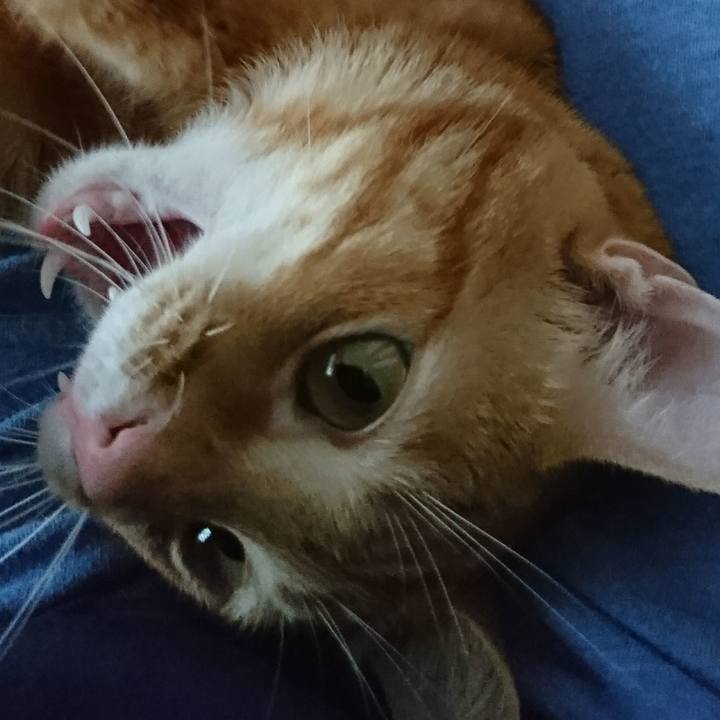 59a612cc 5d25 4905 ae4f ab5d511eeb10