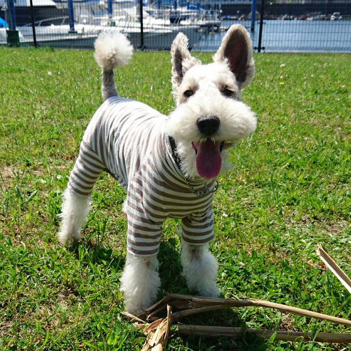 59a63f31 432c 47cf bc2e 652b262e928f