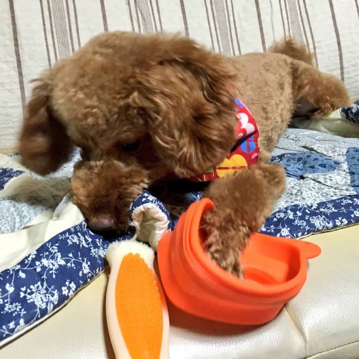 59a6700a 73a7 45bb 9b47 2915b9bfdbfd