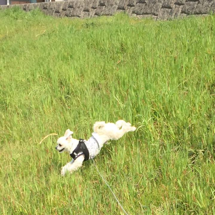 59a79390 9e00 4ab8 aed1 c2ba400a266e