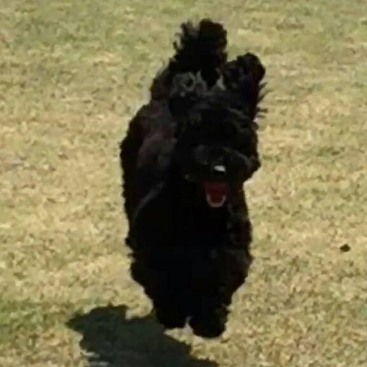 59a7ee66 a772 475b 9cb0 82e615d4815b