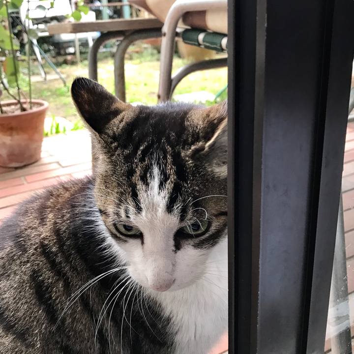 59a8567c 2b46 473f 97ae c62fa3295144