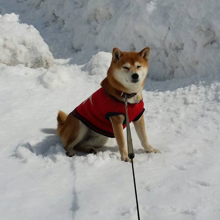 59a871b6 2e09 4812 b0f4 aae6eecebd6d