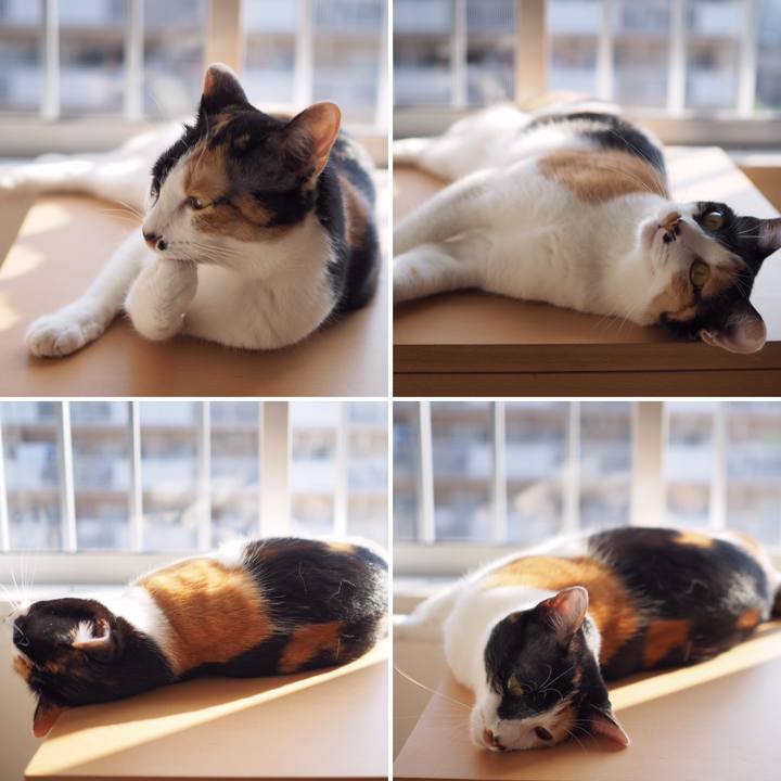 59a94a12 0a6f 4749 bdf9 c2a23933f77c