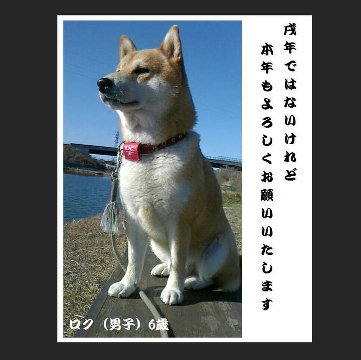 59a9aec9 dd4d 46bc ac11 01021868d9a8