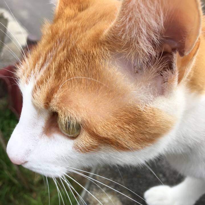 59a9d0c4 5390 432e 89d0 c1c0fd8f3b60