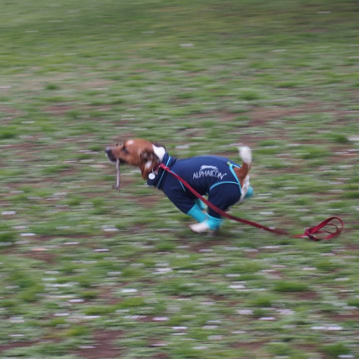 59aa03f1 60e5 4aac b313 ed74211bafc0