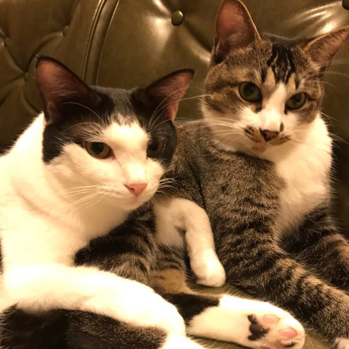 59aa2135 a650 40ca bba9 fea3f39896b6