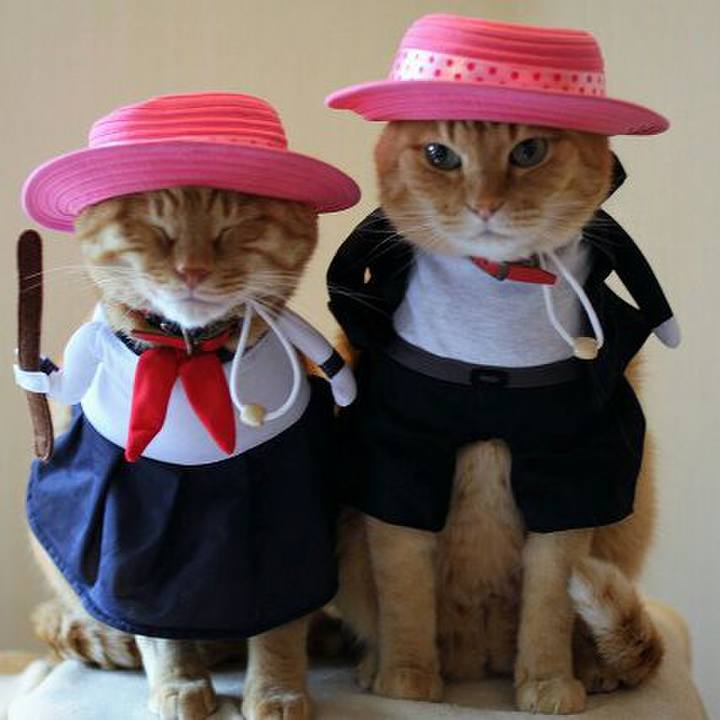 59aa377d 3caf 48e5 8662 e2ad5f643605