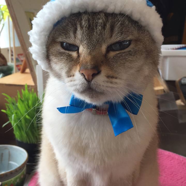 59aa5316 27f6 4df2 a0e9 d83fac6d7e69