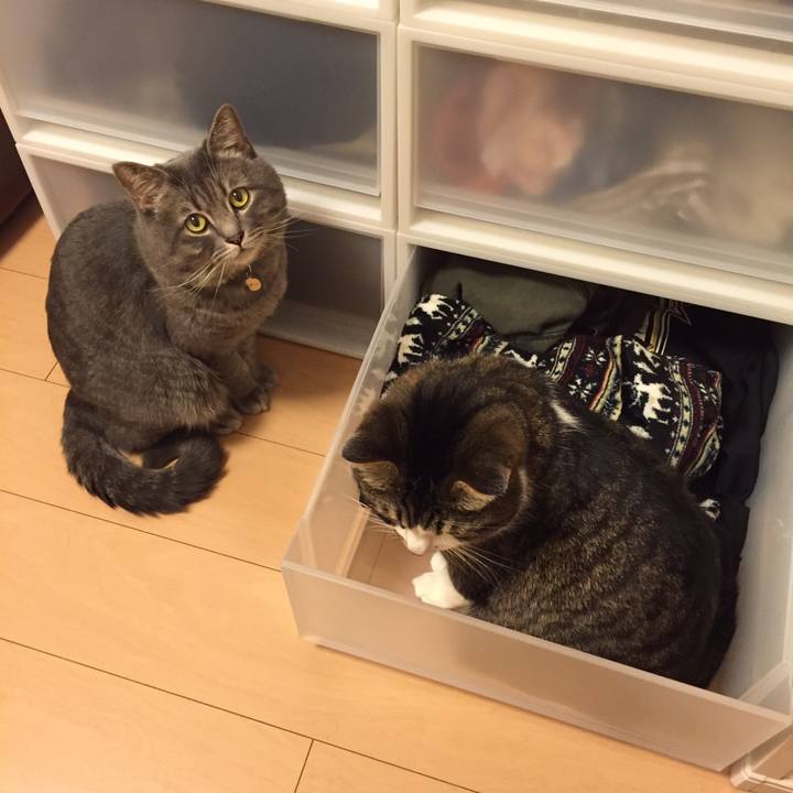 59aa77df a358 40d6 b58a 5845cf03b7d0