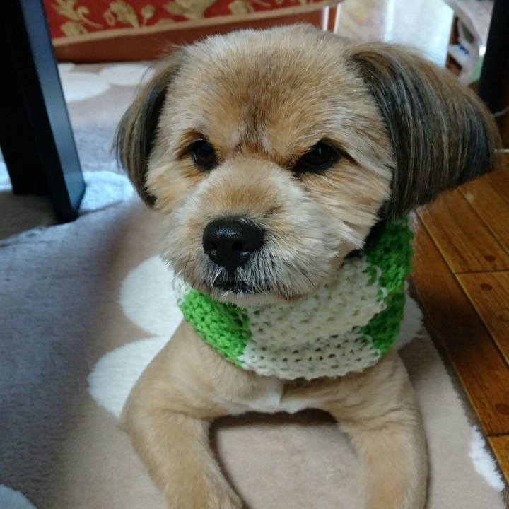 59aab7ce 53ad 4349 955c 59aa81c632cd