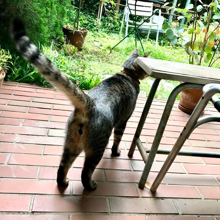 59ab0a23 194e 4a8d ba10 a17faed5fd2d