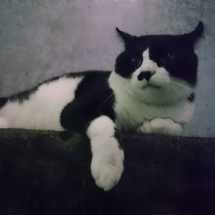 59ab7a2e d1f5 4d6d 80ec ebe5446b8e2c