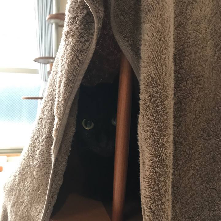 59ac2869 07b7 4085 b687 e25fba3cca80