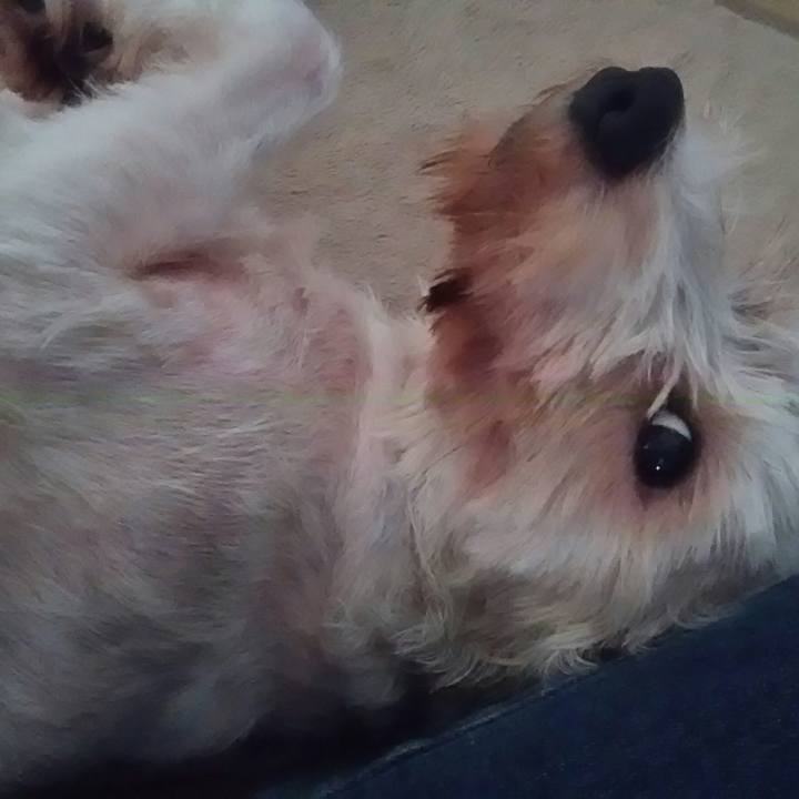 59ac9613 2054 482b 8259 cc35ae0b5ef5