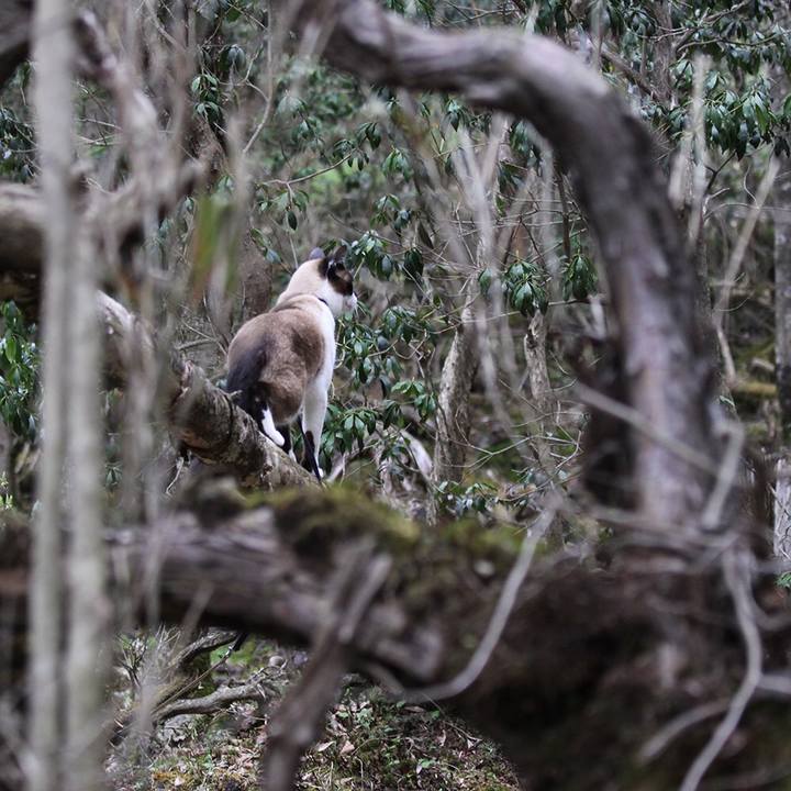 59acceac fb58 46e9 bfbc 9904963d8955