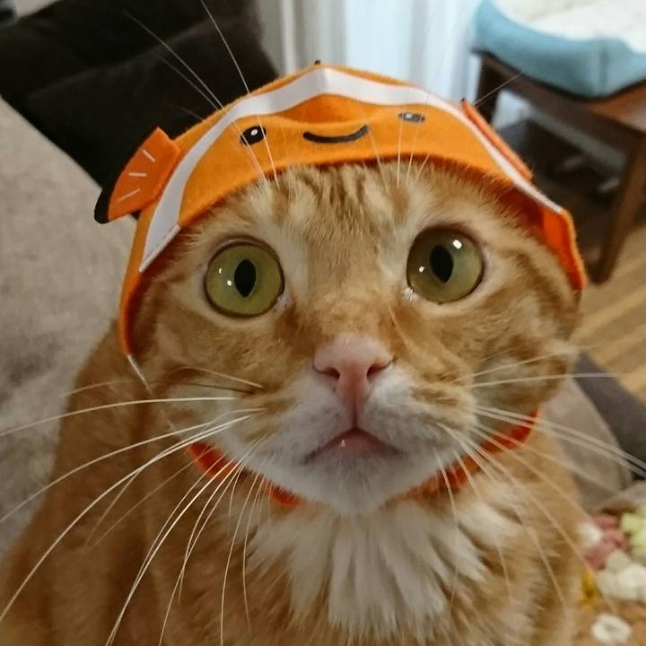 59ad3f83 4a9e 4ccb a185 2be6486850b4