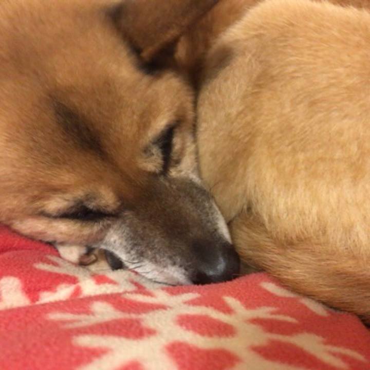 59ada590 94eb 4100 b9ed 8548e286fe01