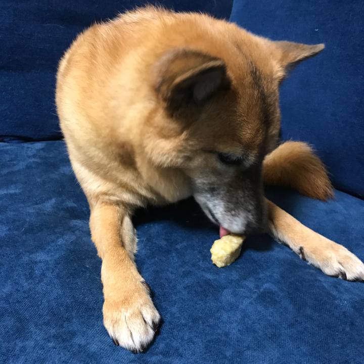 59adf5d6 c13c 4d97 a915 106a932d426a