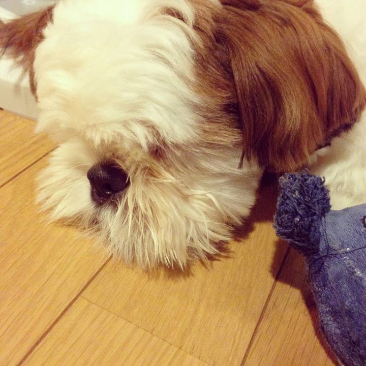 59ae0061 be93 4184 8f8a ffad5e52956a