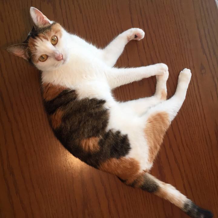 59ae2202 af80 47f2 aa07 3daa22832a20