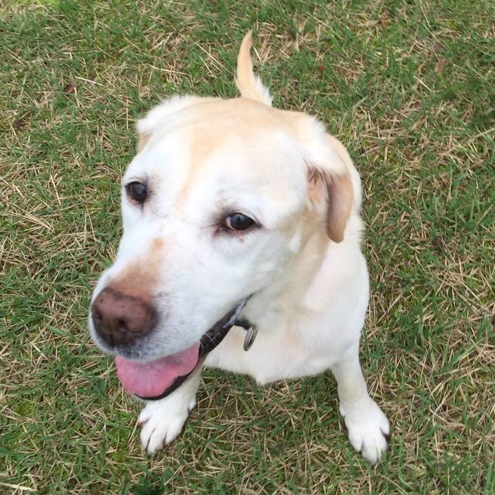 59ae7130 a8b5 4109 b5ce c8e602adb528