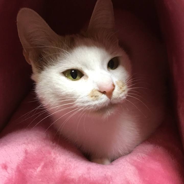 59ae837b 4632 4bbb b69e ec51965c64bd